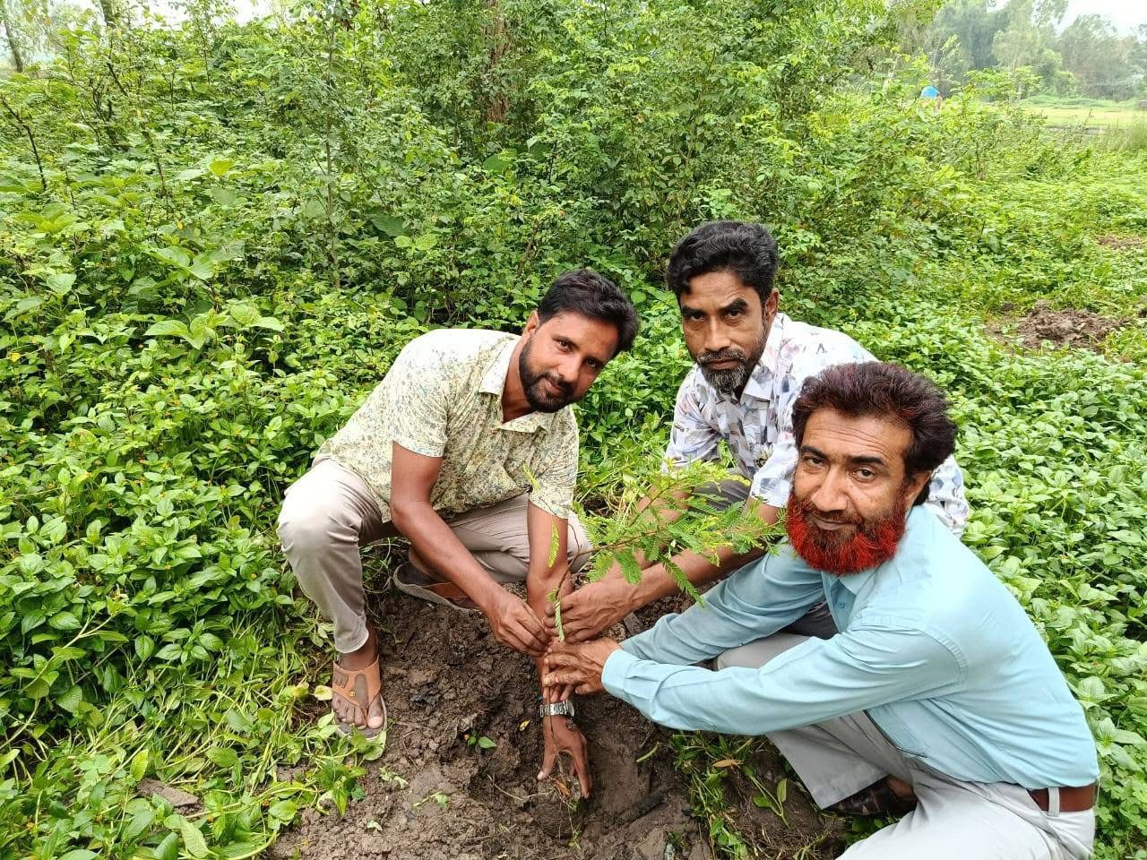 বৃক্ষ রোপন...